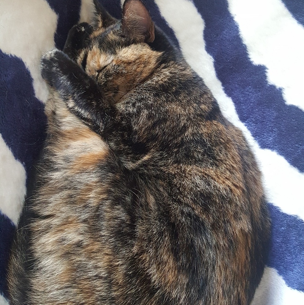 Meet your Posher, Marie